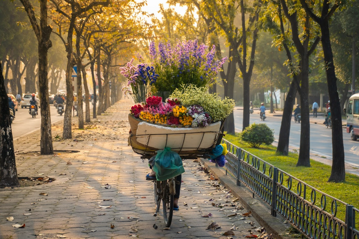 L'automne à la capitale, que faire à Hanoi en 3 jours? 